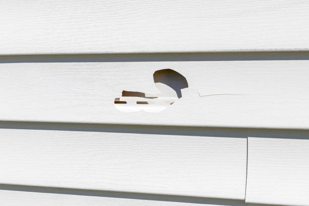 Best Custom Siding Design  in Madison, NC