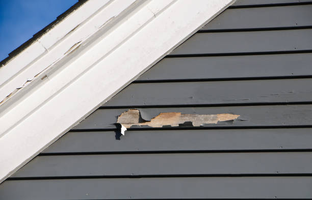 Best Insulated Siding Installation  in Madison, NC